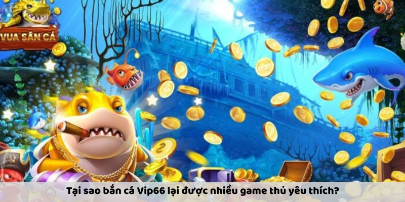 Kinh nghiệm săn cá bất bại