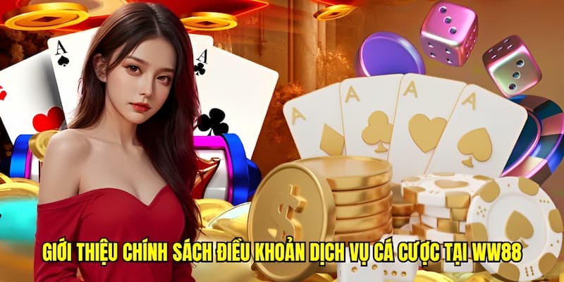 Giới thiệu chính sách