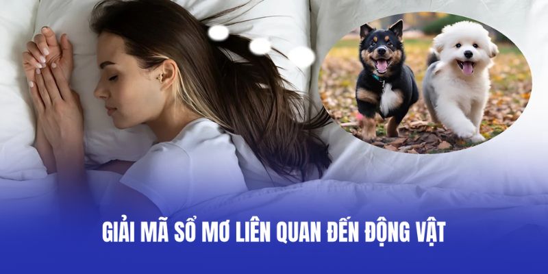 Giải mã sổ mơ liên quan đến động vật