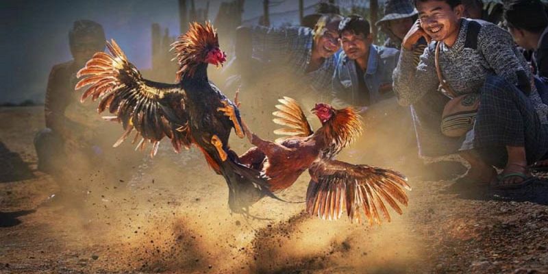 Thuật ngữ về kỹ thuật và chiến kê