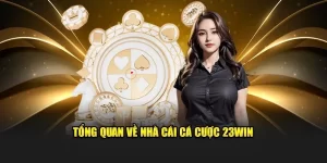 WM Casino 23Win - Trải nghiệm cá cược đỉnh cao
